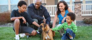 Trusted pet adoption professional advising new pet parents