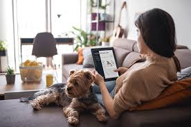 Pet owner reading educational pet content on tablet
