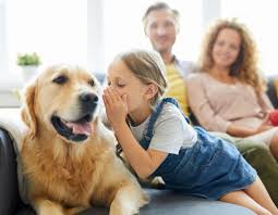 Family learning about pet responsibility together