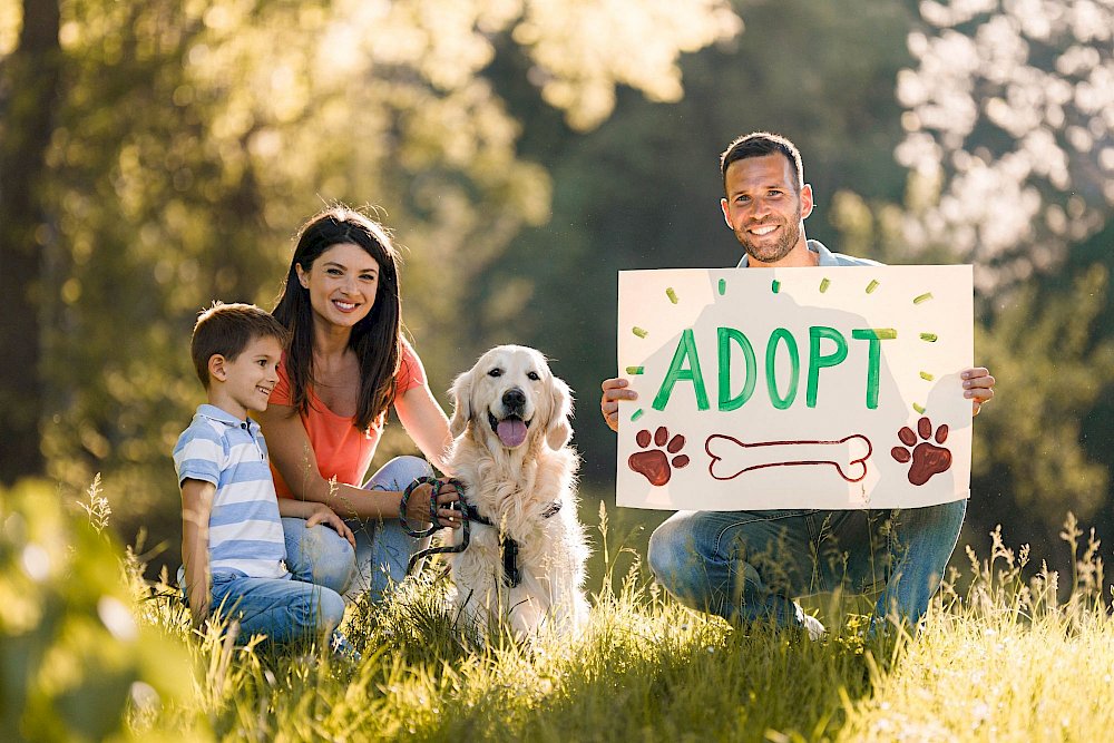 How to Build Pet Adoption Authority and Become a Trusted Voice