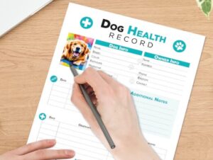 Veterinary health documents provided by a responsible dog breeder